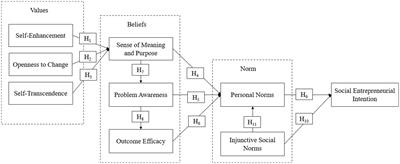 Social entrepreneurial intention among working adults: An emerging country context